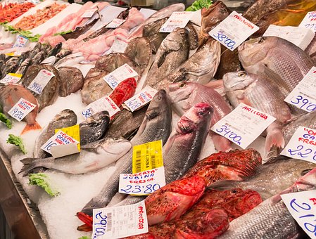 Covid, i pescatori in Liguria hanno perso il 25% del fatturato