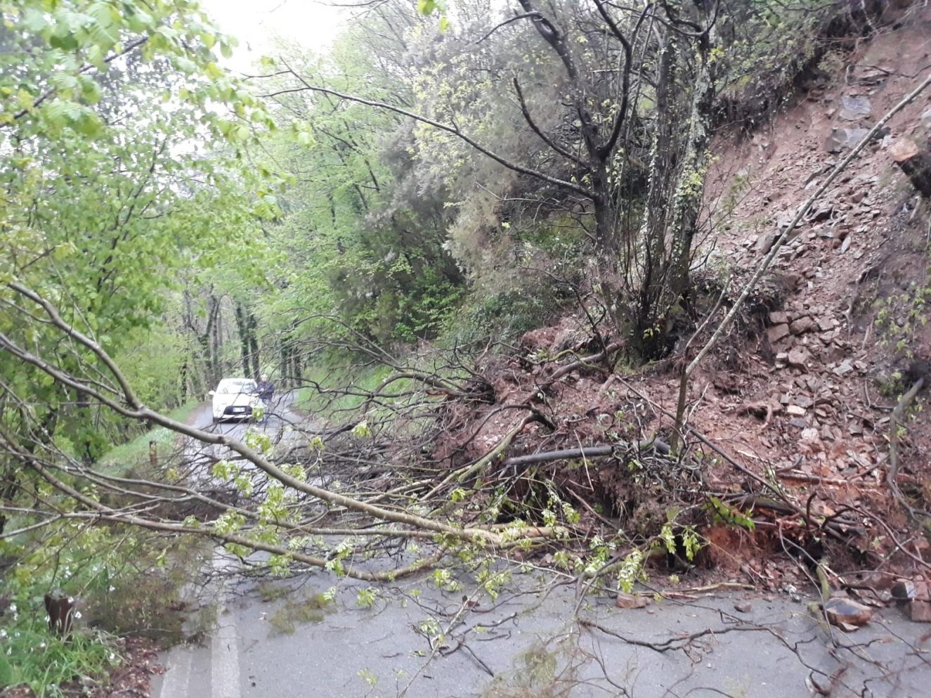 Genova, frana e caduta di alberi in Val Fontanabuona causa piogge 