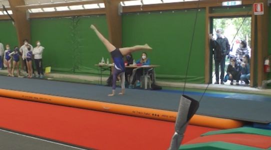 L'Accademia di Ginnastica di Serra Riccò torna in pedana