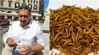 Toti: "L'Europa autorizza la vendita delle larve, io resto fedele al pesto"