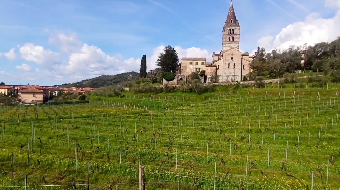 Basilica dei Fieschi, Regione Liguria impegnata nel restauro