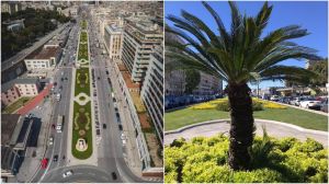 Genova, le aiuole della Foce tornano all'antico splendore: "Un'opera attesa da 50 anni"