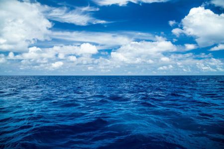 8 giugno: oggi è la Giornata Mondiale degli Oceani, i polmoni del pianeta