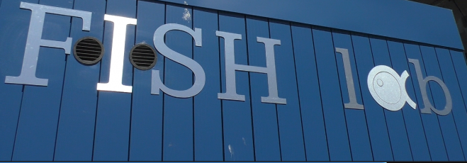 Genova, apre in Darsena FISHlab: pesce fresco pronto a cuocere oppure da degustare in loco