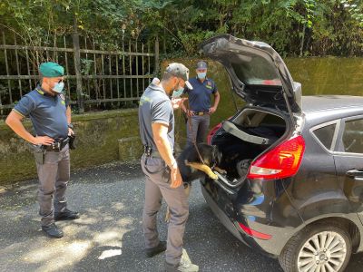 Sarzana, fermato con 10 kg di hashish in auto: condannato a un anno e 8 mesi di reclusione