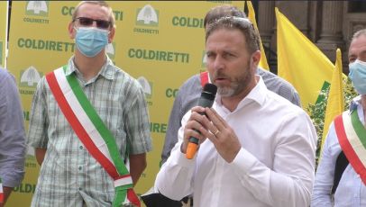 Coldiretti in piazza: "Chiediamo una legge sull’abbattimento dei cinghiali"