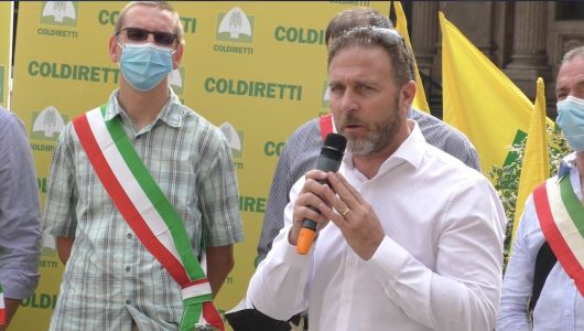 Coldiretti in piazza: "Chiediamo una legge sull’abbattimento dei cinghiali"