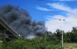 Imperia, incendio nel bosco vicino all'autostrada: chiusa l'A10 verso Genova