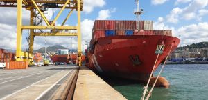 Genova, la Akkon Lines sceglie l'IMT come base per la linea West Med