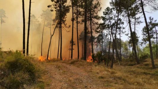 Incendio sulle alture di Framura, attivi due elicotteri da Genova e Imperia