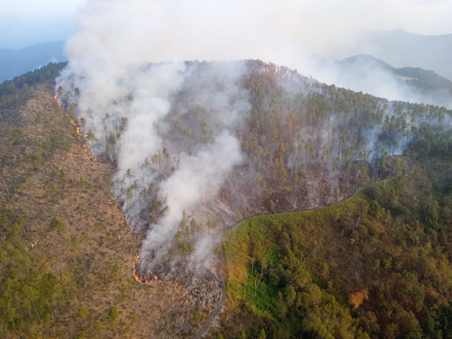 Incendio a Framura, distrutti 100 ettari di bosco: proseguono le operazioni di bonifica