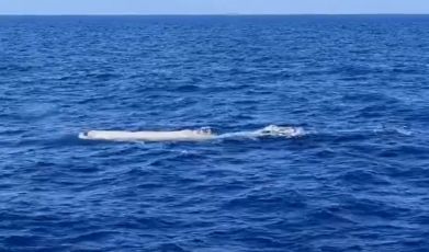 Un capodoglio bianco nel mare della Liguria: il video dello straordinario avvistamento