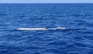Un capodoglio bianco nel mare della Liguria: il video dello straordinario avvistamento