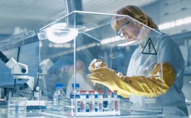 Covid, un anticorpo efficace contro tutte le varianti: la scoperta arriva dagli Usa