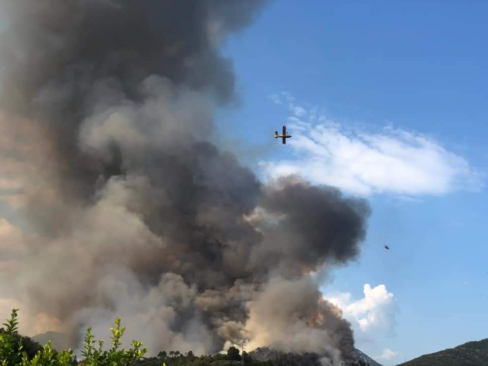 Savona, incendio in un bosco a Cisano sul Neva: le fiamme minacciano le case 