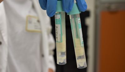 Liguria, consegnati altri 600 test salivari per i tamponi agli studenti nelle scuole