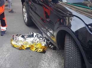 Genova, cane investito sulle strisce pedonali a Quinto: morto dopo pochi minuti