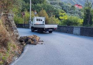 Maltempo, smottamento sulla strada per Bavari: viabilità interrotta