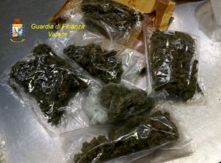 Genova, la Gdf sgomina traffico internazionale di droga che partiva da Malpensa