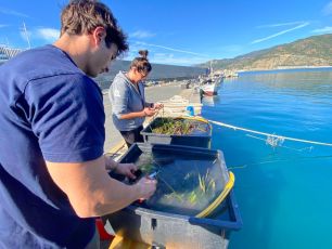 Sestri Levante, al via i lavori propedeutici all'intervento sulla diga di Portobello