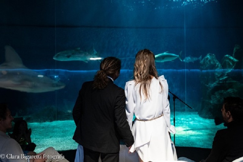 Da Roma a Genova per sposarsi davanti agli squali: l'insolito "sì" all'Acquario