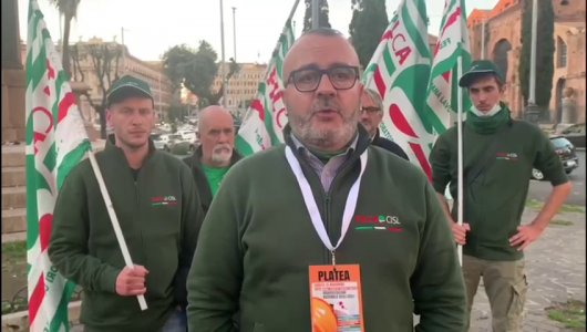 "Basta morti sul lavoro e over 60 sui ponteggi": la Filca Cisl Liguria in protesta a Roma