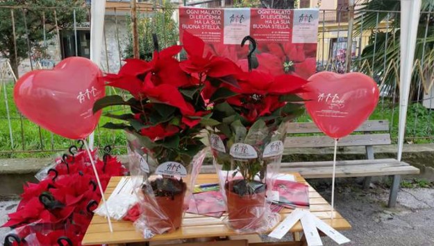 Il 3, 4 e 5 dicembre torna in 4.300 piazze italiane la Stella di Natale dell'Associazione Italiana Leucemie