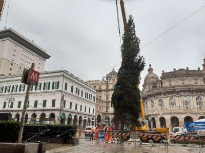 Genova, in piazza De Ferrari arriva l'albero di Natale donato da Regione Lombardia