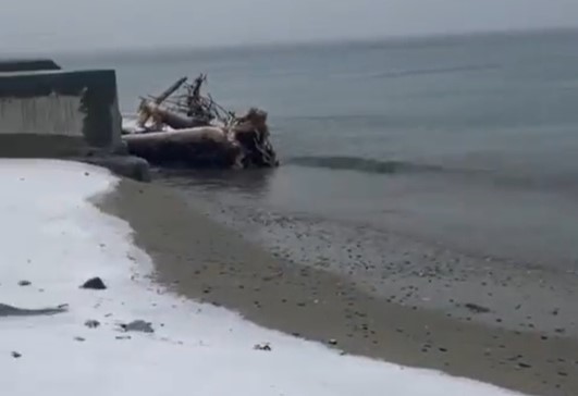 Savona, la neve fino in riva al mare: lo spettacolo delle spiagge imbiancate