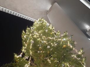 Genova, un albero di Natale di nove metri illumina la Radura della Memoria a Certosa