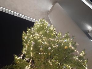 Genova, un albero di Natale di nove metri illumina la Radura della Memoria a Certosa