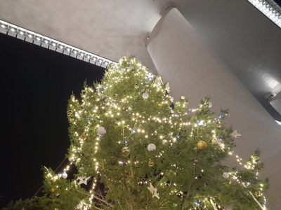Genova, un albero di Natale di nove metri illumina la Radura della Memoria a Certosa