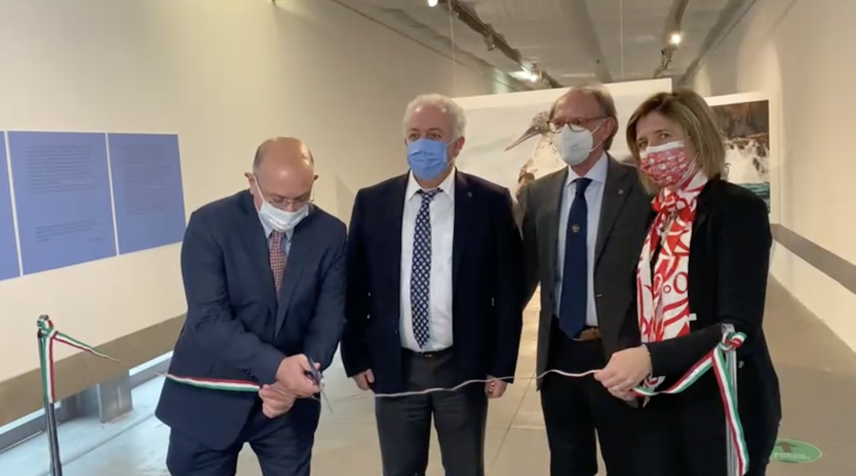 Genova, il Museo Galata inaugura la mostra "The Skin of rock of Galapagos"