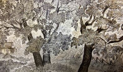 Genova, la mostra "Legnidamare" di Maria Grazia Dallera al Galata Museo del Mare 