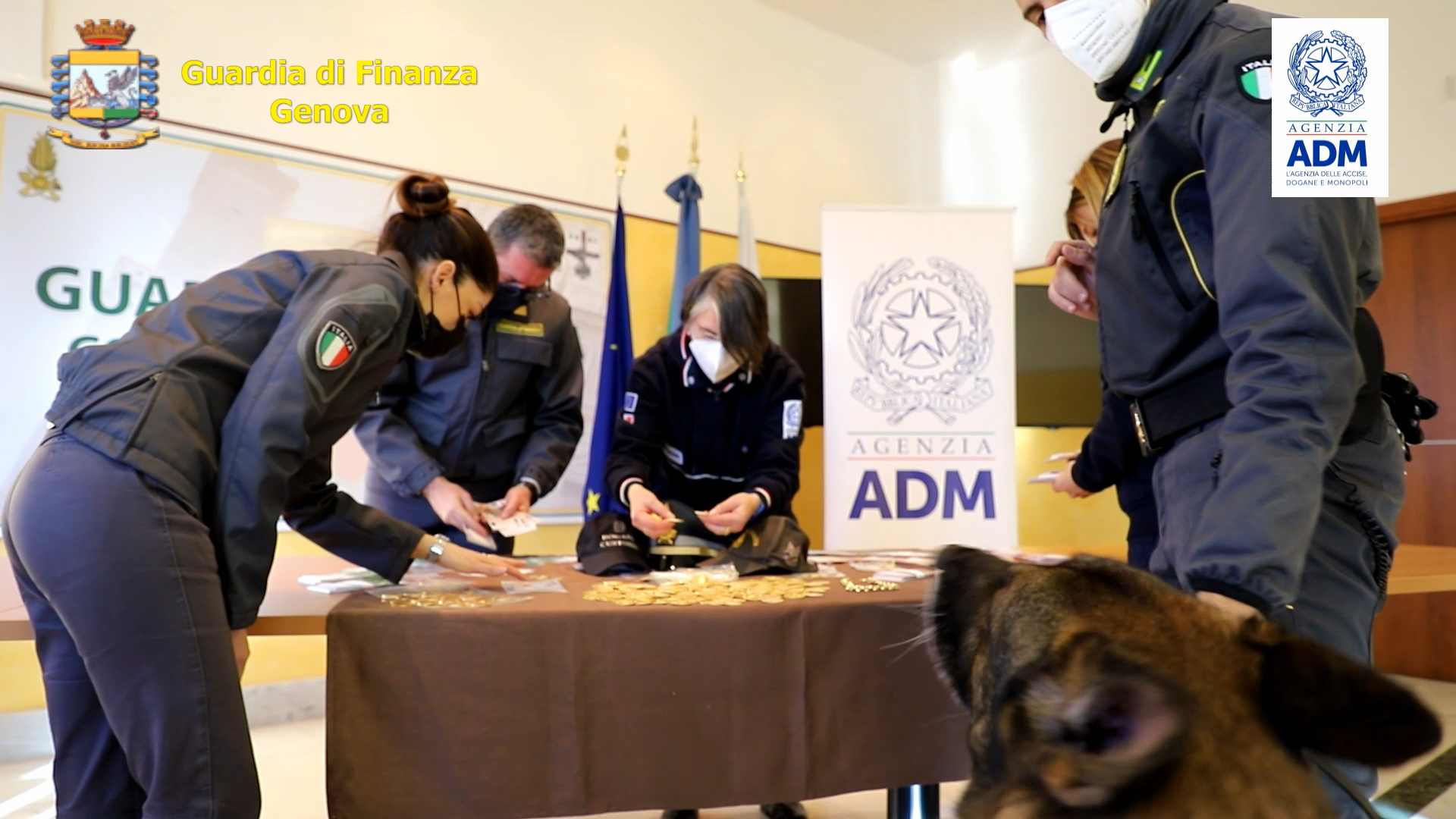 Genova, pastore tedesco scopre monete e contanti per oltre 600mila euro