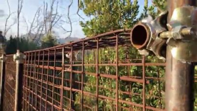 Genova, cinghiali: Pegli, a villa Doria spuntano le reti elettrosaldate