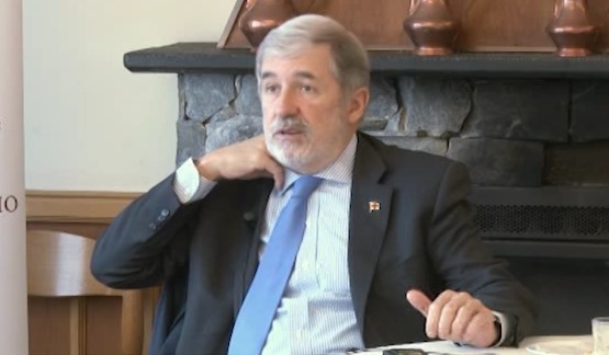 Peste suina, l'idea di Bucci: "Percorsi sanificati nei boschi"