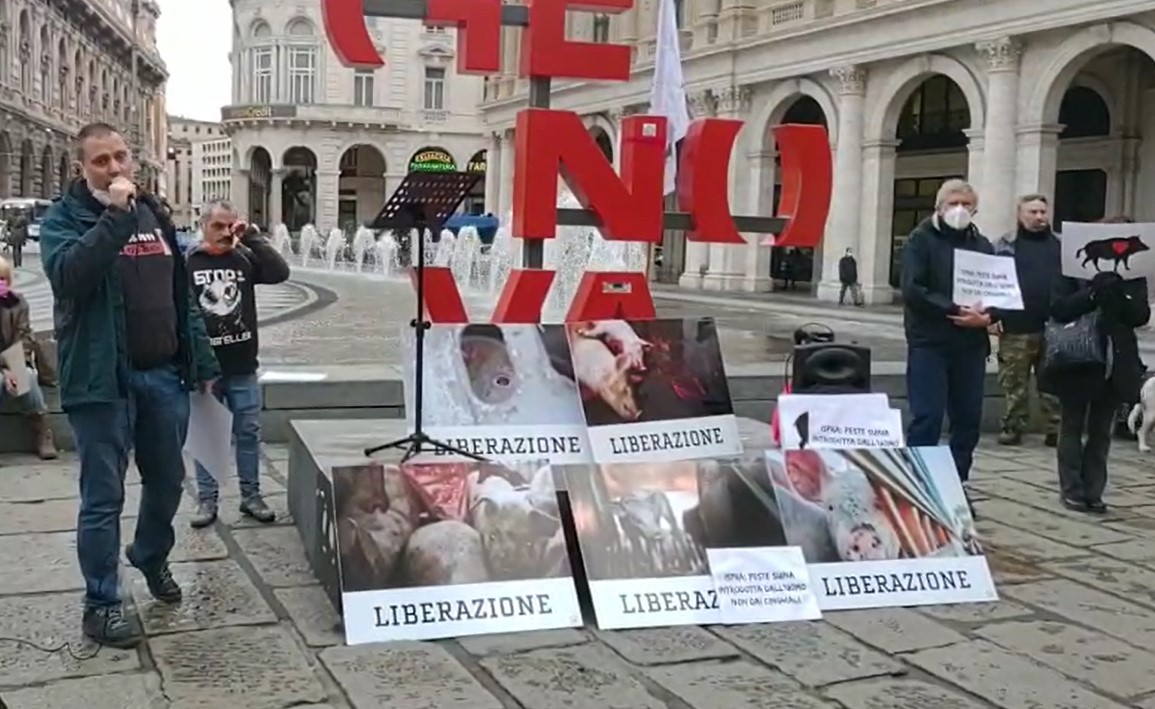 Peste suina, animalisti in piazza a Genova: "Non abbattete cinghiali e maiali sani"