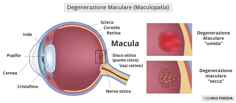 Maculopatia e problemi alla retina, un test per i dipendenti comunali di Genova