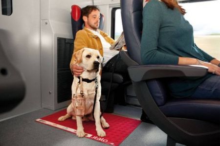 Italo, per chi viaggia con il proprio cane tante novità