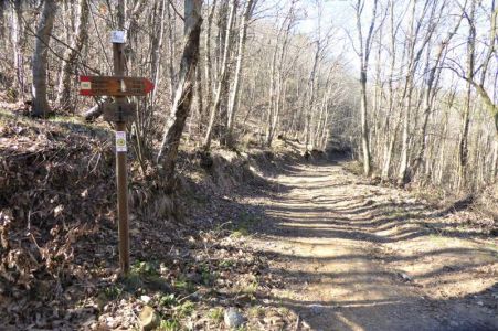 Spezia, arriva la conferma: i resti trovati nei boschi di Monte Parodi sono umani 