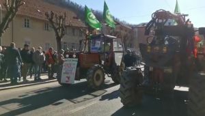 Peste suina, a Rossiglione la protesta degli agricoltori: "Abbattiamo i cinghiali della zona rossa"