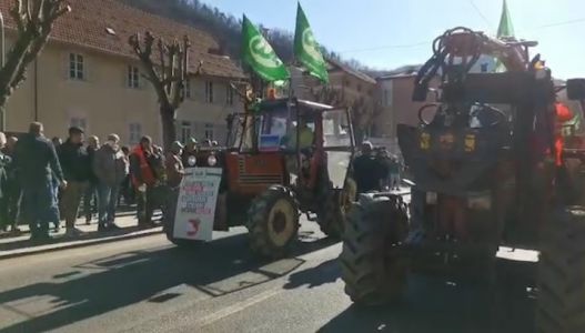 Peste suina, a Rossiglione la protesta degli agricoltori: "Abbattiamo i cinghiali della zona rossa"
