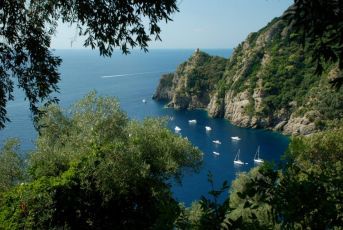 Regione, Piana: "Il ministero dice no al Parco di Portofino allargato a 7 Comuni"