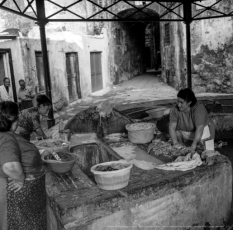 Archivio Leoni al Muma, la figlia Paola racconta i segreti a Telenord