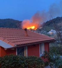 Incendio sulle alture di Celle Ligure: fiamme domate. Ora s'indaga per scoprire l'origine