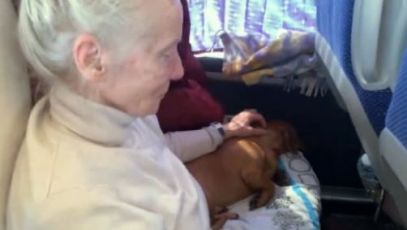 Ucraina, in viaggio con i profughi nella diretta di Telenord