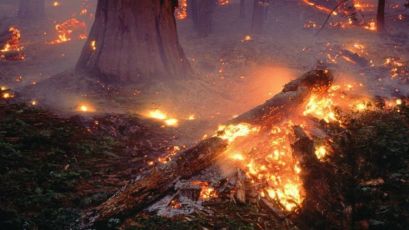 Liguria, incendi a Mele e Bordighera. Il vento complica lo spegnimento