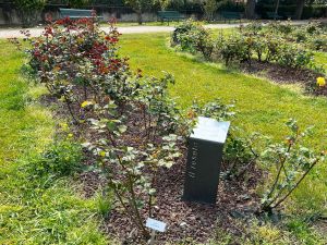 Euroflora 2022, Surace: "Fiori simbolo di pace dedicati al popolo ucraino"