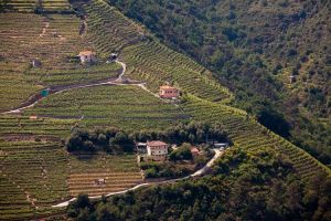 Regione Liguria, un piano di 24 milioni per i piccoli comuni. Ecco quali